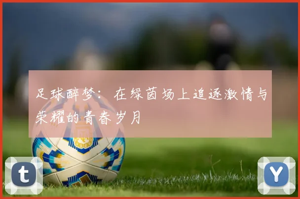 足球醉梦：在绿茵场上追逐激情与荣耀的青春岁月
