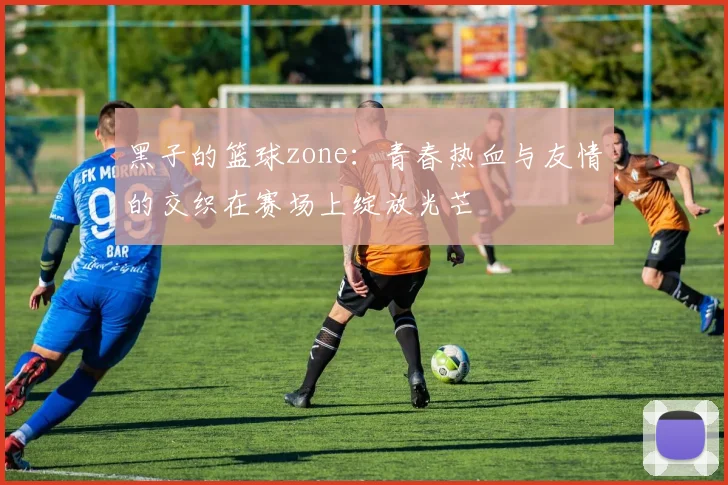 黑子的篮球zone：青春热血与友情的交织在赛场上绽放光芒