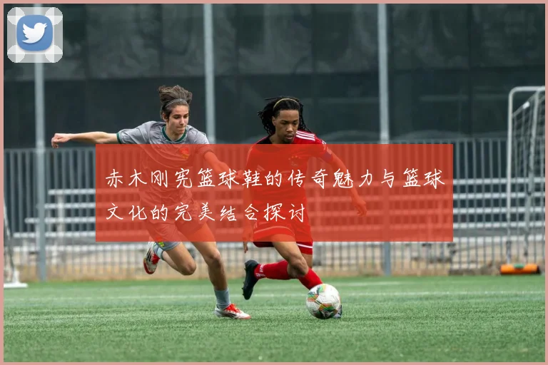 赤木刚宪篮球鞋的传奇魅力与篮球文化的完美结合探讨